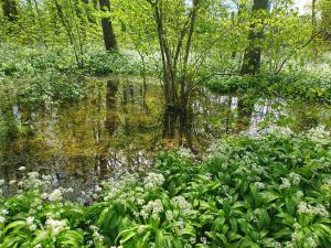 Annelies 03 Daslook aan een regenmeertje